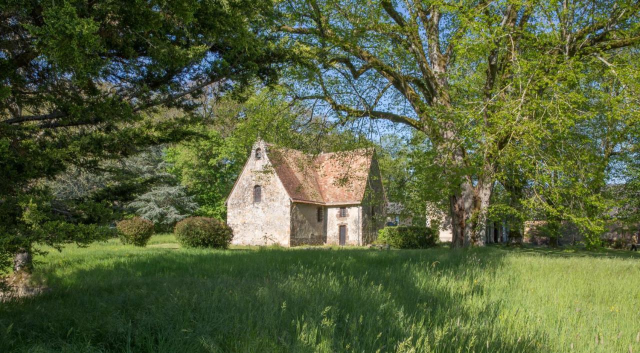 Manoir Des Etrichets Bed & Breakfast Saint-Saturnin  Exterior photo